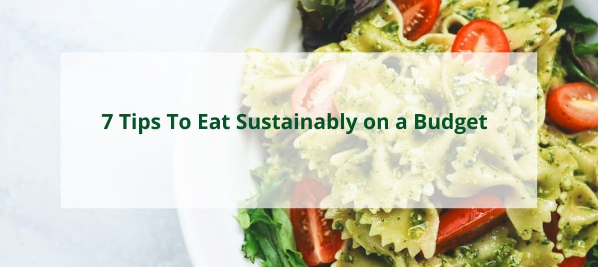 7 Tips To Eat Sustainably On A Budget - Ecofriendly Life